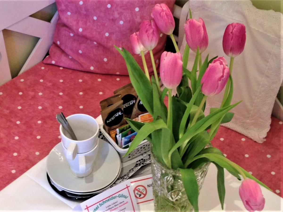 Hotel Schneider-Goessl Viyana Dış mekan fotoğraf